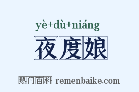 夜度娘是什么意思的图片